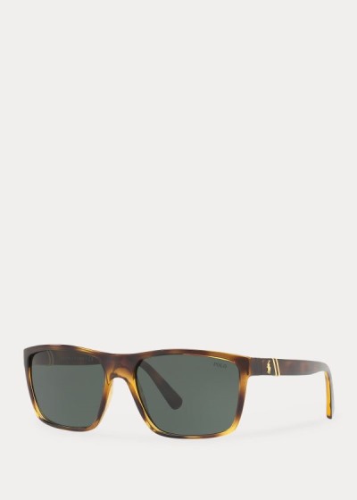 Gafas De Sol Polo Ralph Lauren Hombre Verdes - Regimental - XWNDU2439